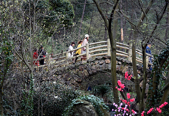 虎踞峡第 40 张图片
