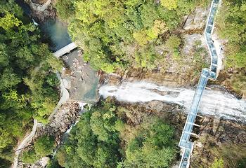 九龙江国家森林公园第 27 张图片