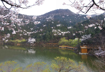 大洪山风景名胜区第 4 张图片