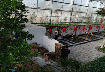宁夏沙温泉度假村第 2 张图片