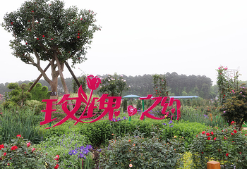 湖南省植物园第 2 张图片