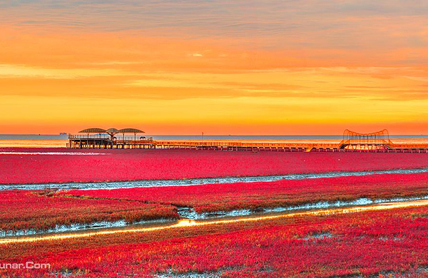 《端午暑期早预定》兴城古城,红海滩,龙回头三日游【成人 06:00 中文