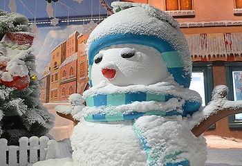 乐漫冰雪王国（奥体优托邦店）第 1 张图片