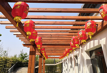 马山慢城景区-竹林花海园第 2 张图片