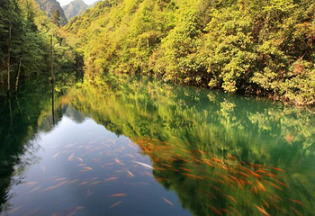 千佛山景区第 5 张图片