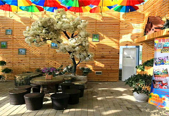 黄河麦田游乐园第 7 张图片