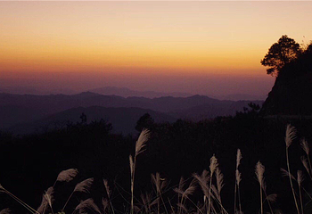 雷山丛林国际牡丹园第 7 张图片