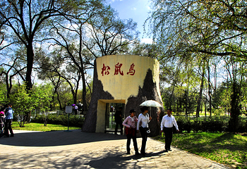 太阳岛风景区第 12 张图片