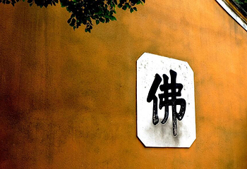 上海黄浦--普陀旅游集散中心（城北站）第 11 张图片