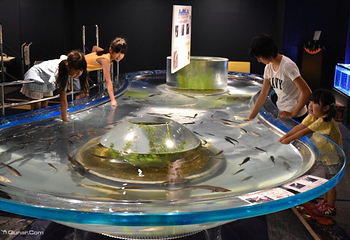 千岁水族馆第 10 张图片