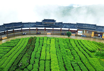 仙人山景区第 14 张图片