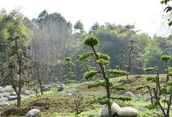 都江堰·玫瑰花溪谷第 6 张图片