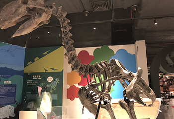 正佳自然科学博物馆第 22 张图片
