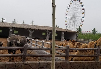 诸城市动物园第 14 张图片