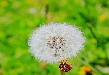 塔格拉克牧场第 10 张图片