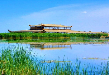 莲海世界第 23 张图片