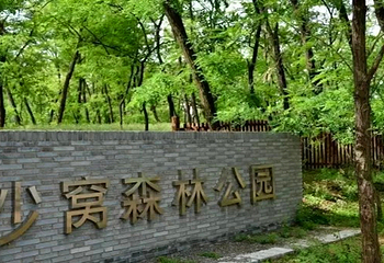 沙窝森林世界第 16 张图片