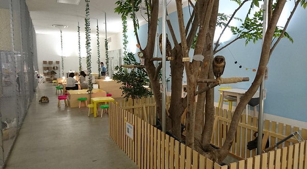 Moff动物咖啡（永旺购物中心幕張新都心店）