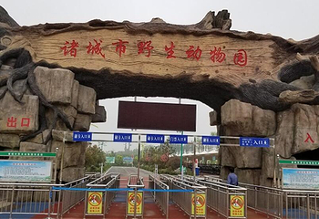 诸城市动物园第 37 张图片