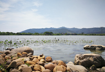 长田漾湿地游船第 4 张图片