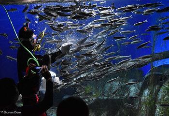 千岁水族馆第 5 张图片