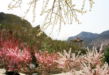 百里山水画廊第 35 张图片