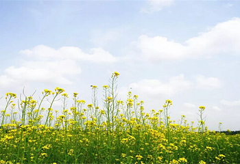 北京长阳农场第 7 张图片
