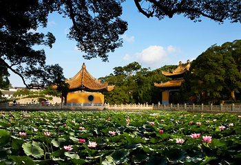 上海黄浦--普陀旅游集散中心（城北站）第 3 张图片