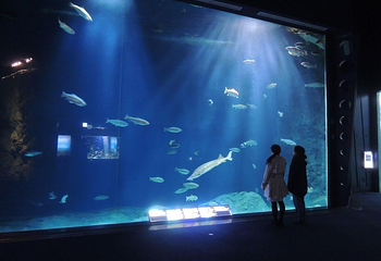 千岁水族馆第 8 张图片