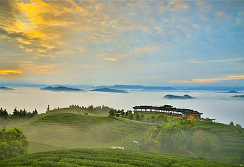 仙人山景区第 6 张图片