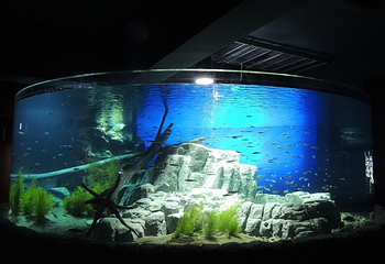 千岁水族馆第 3 张图片