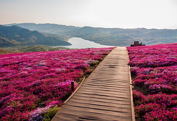沐心双马山旅游度假区第 17 张图片