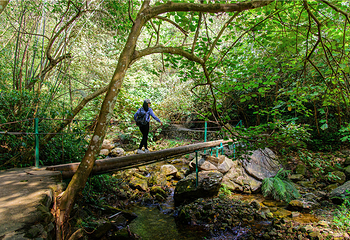 清远笔架山旅游度假区第 3 张图片