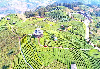 仙人山景区第 2 张图片