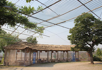 沐心双马山旅游度假区第 16 张图片