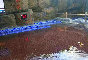 善水汤泉水汇第 21 张图片
