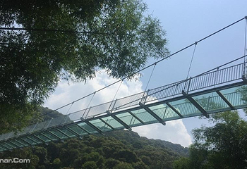 新丰江国家森林公园桂山风景区第 20 张图片