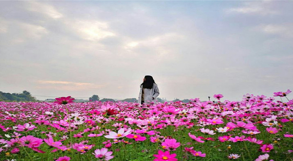 南山花千谷景区