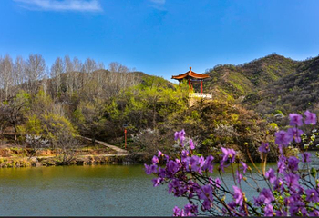 玉渡山景区第 26 张图片