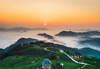 仙人山景区第 12 张图片