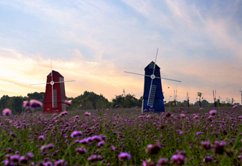 花博汇(知音花月夜)第 21 张图片