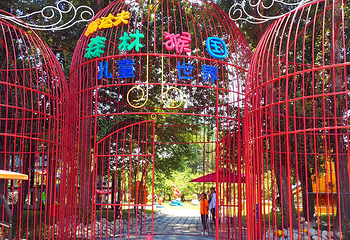 廊坊永清斯达夫森林木屋温泉酒店第 17 张图片