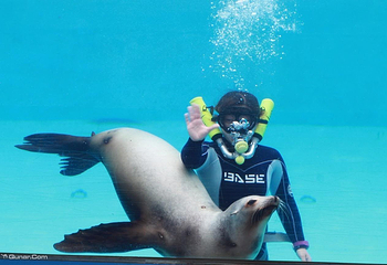 下田海中水族馆第 5 张图片