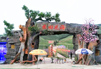 农田花海第 5 张图片