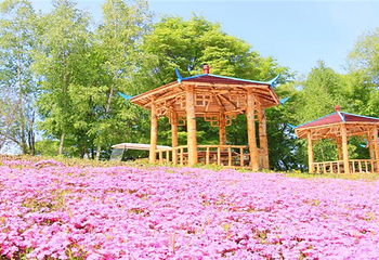九峰山养心谷旅游度假区第 25 张图片