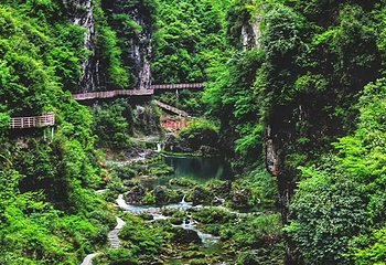 古苗河百瀑大峡谷景区第 14 张图片