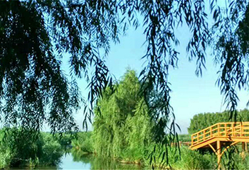 白渔泡湿地公园第 7 张图片