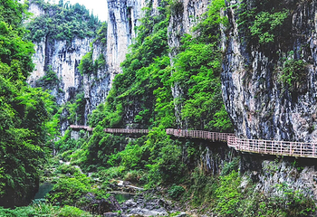 古苗河百瀑大峡谷景区第 12 张图片