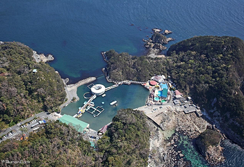 下田海中水族馆第 2 张图片