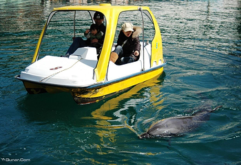 下田海中水族馆第 7 张图片